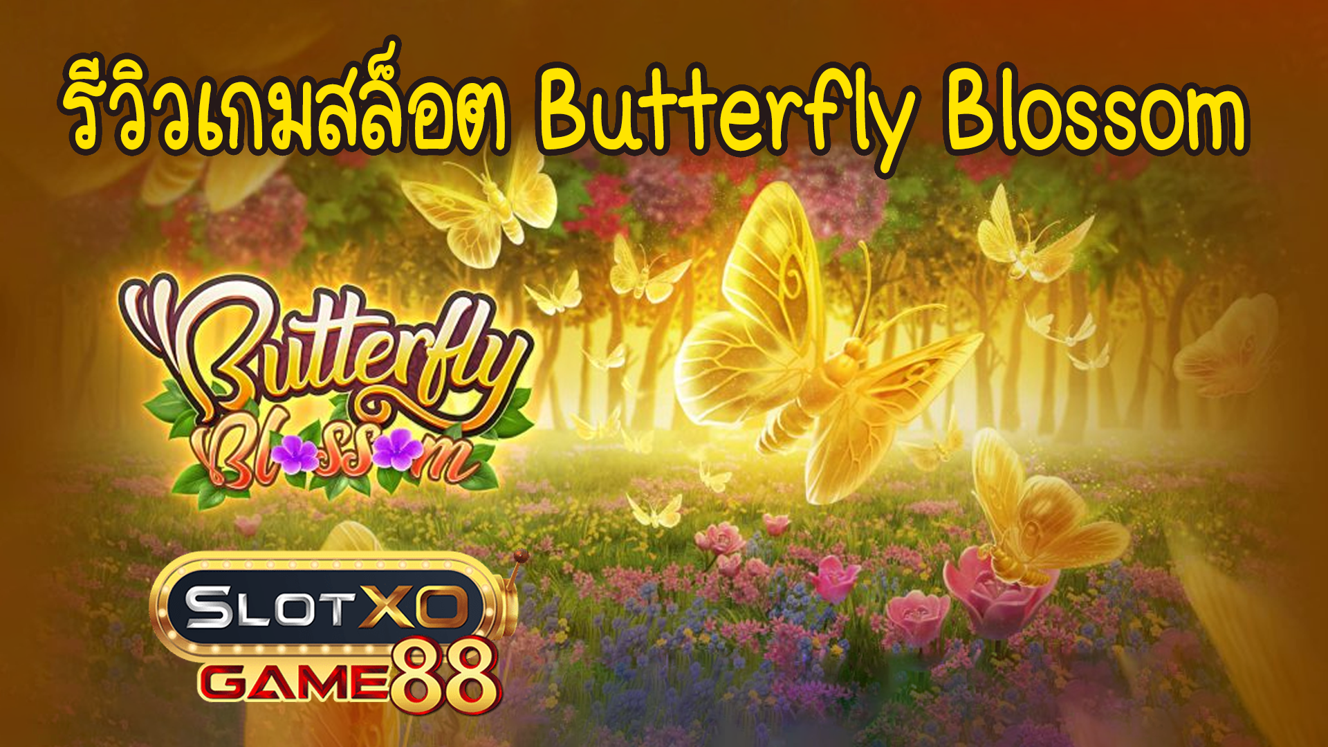 รีวิวเกมสล็อต Butterfly Blossom